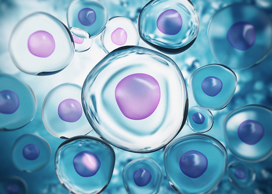 immuno pics2 SDC